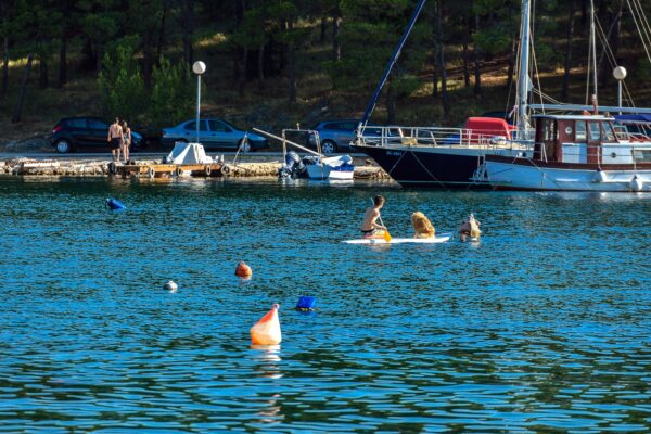 Drage - photo 6