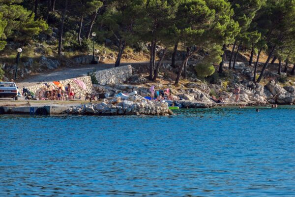 Drage - photo 8