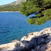 Drage - photo 9