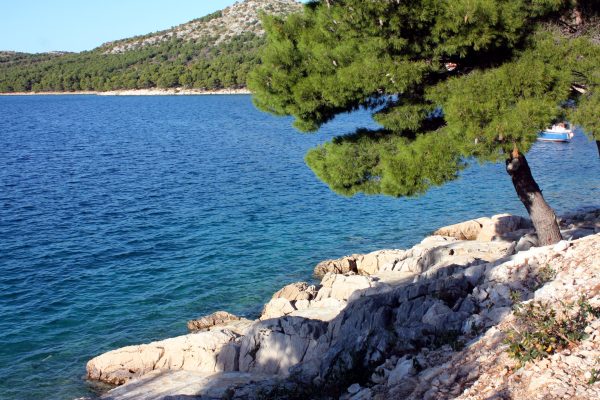 Drage - photo 9