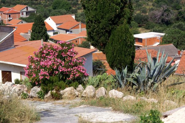 Vrgada - photo 11