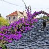 Bobovišća - photo 4