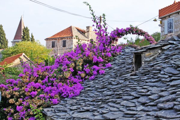Bobovišća - photo 4