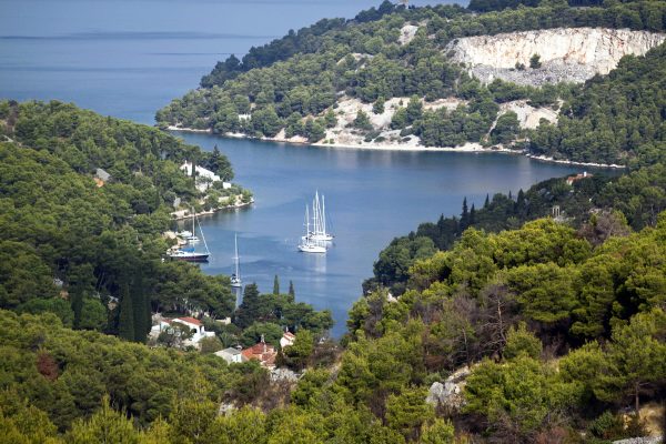 Bobovišća na Moru - photo 11
