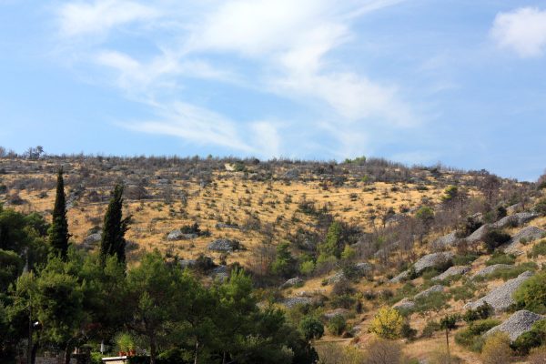 Bobovišća na Moru - photo 12