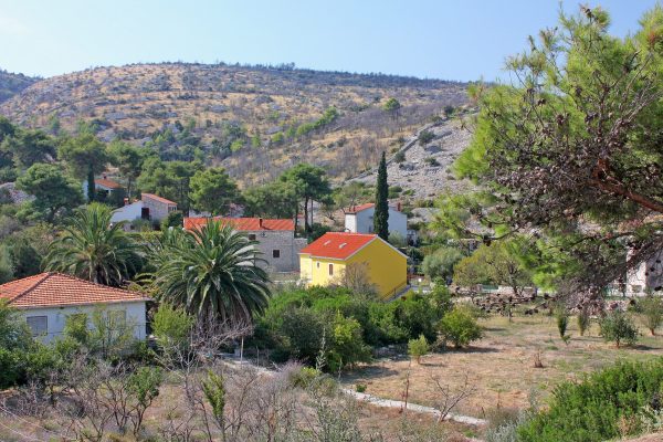 Bobovišća na Moru - photo 9