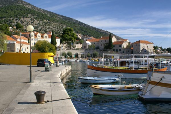 Bol - photo 13