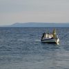 Bol - photo 19
