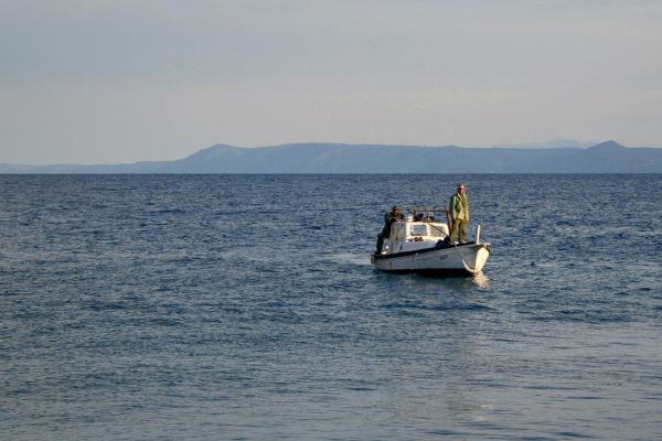 Bol - photo 19