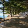 Bol - photo 23