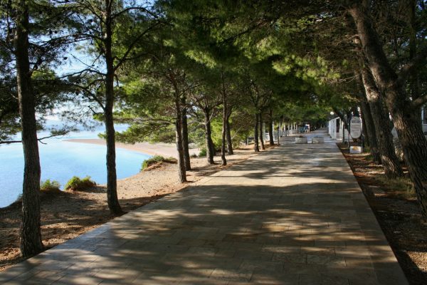 Bol - photo 23