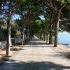 Bol - photo 24
