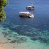 Bol - photo 25