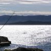 Bol - photo 28