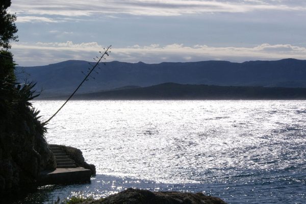 Bol - photo 28