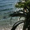Bol - photo 29