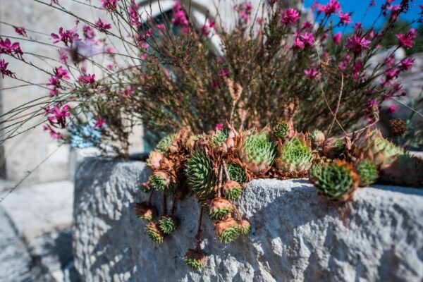 Donji Humac - photo 8