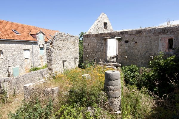Dračevica - photo 11