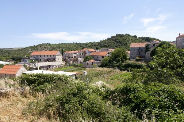 Dračevica - photo 2