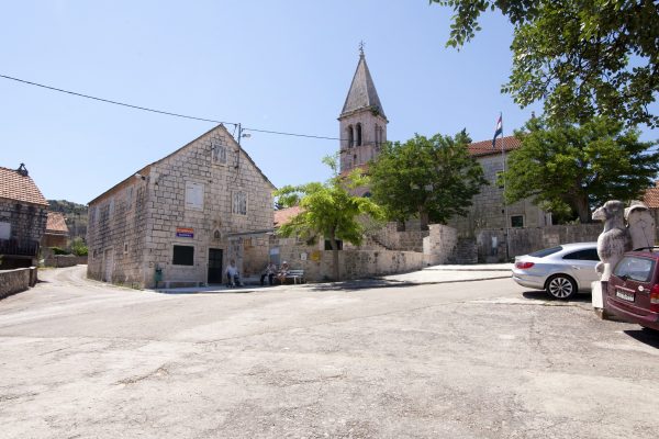 Dračevica - photo 3