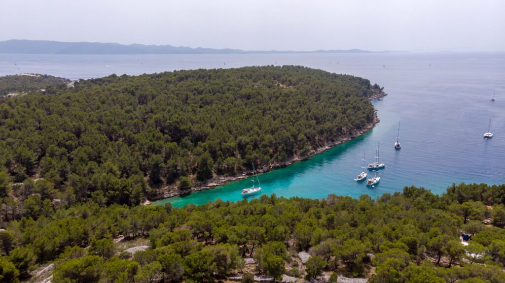 Dalmatia Brac Koromaslinova Croatia