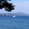 Milna - photo 17