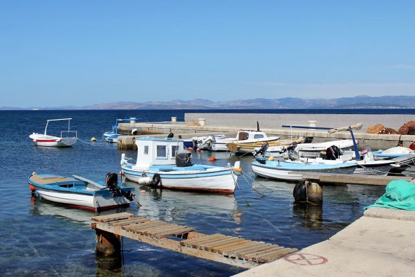 Mirca - photo 2