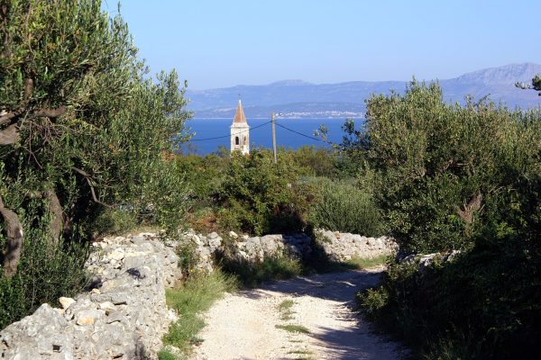 Mirca - photo 4
