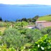 Murvica - photo 1