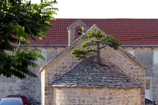Nerežišća - photo 2