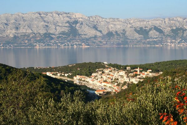 Povlja - photo 9
