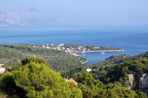 Sumartin - photo 20
