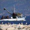 Supetar - photo 10