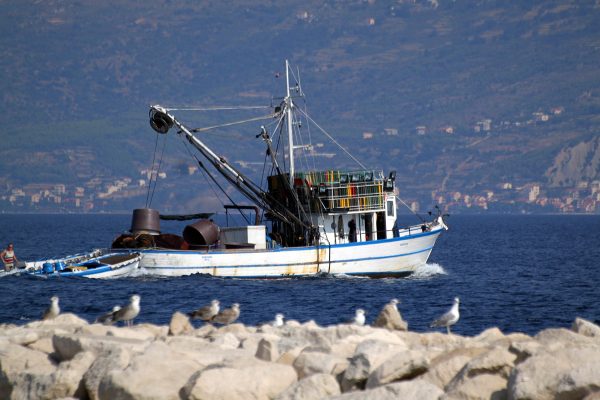 Supetar - photo 10