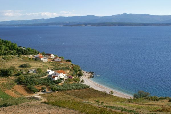 Vela Farska - photo 5