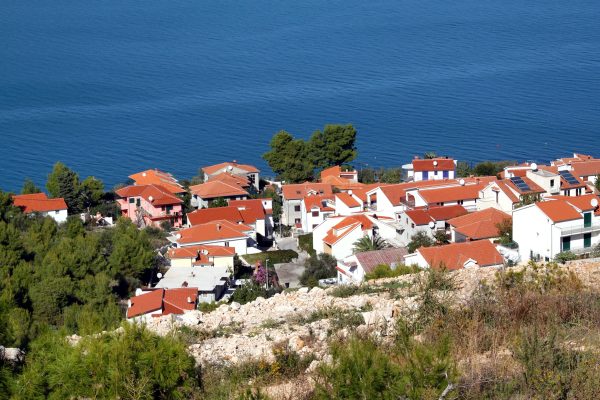 Mastrinka - photo 3
