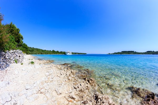 Široka - photo 2