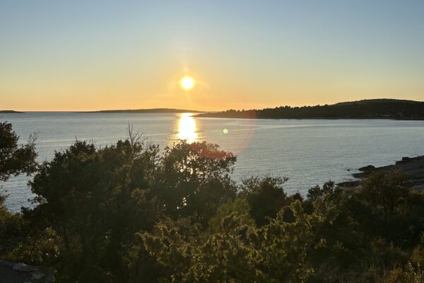 Novica - photo 2