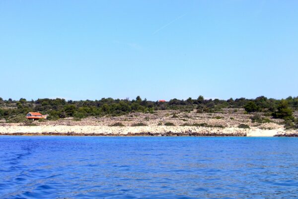 Pernatice - photo 2