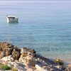 Pernatice - photo 4