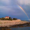 Pernatice - photo 6