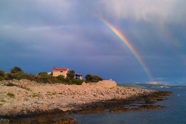 Pernatice - photo 6