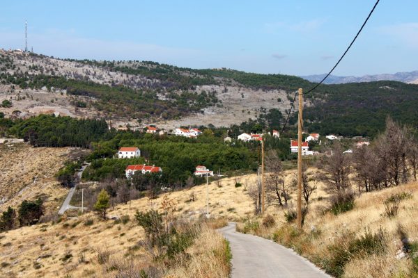 Bosanka - photo 2