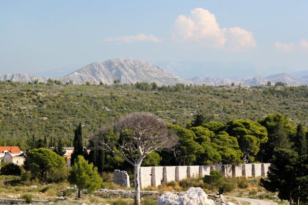 Bosanka - photo 3