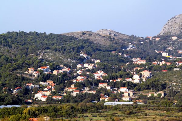 Čibača