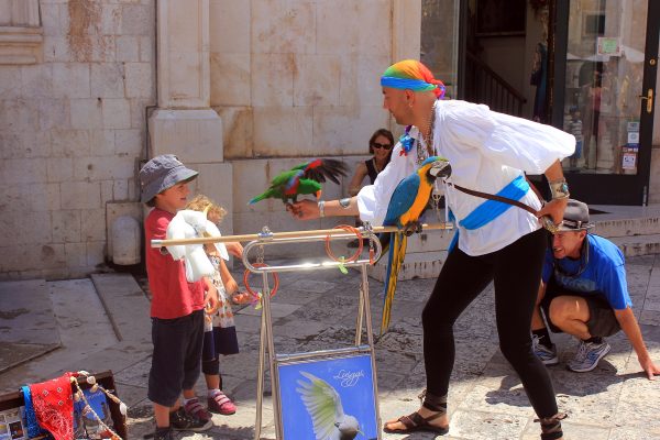 Dubrovnik - photo 60