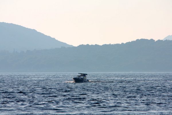 Lozica - photo 8