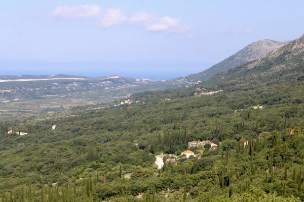 Mihanići - photo 8