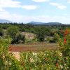Močići - photo 1