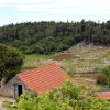 Močići - photo 3